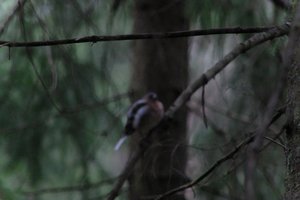 DSCF3458.JPG