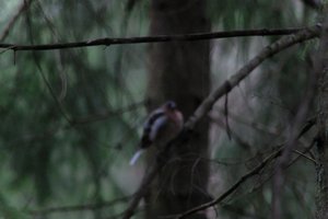 DSCF3459.JPG
