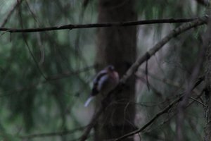 DSCF3460.JPG