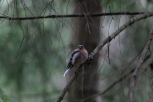 DSCF3463.JPG