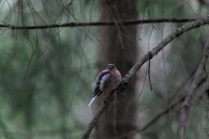 DSCF3464.JPG