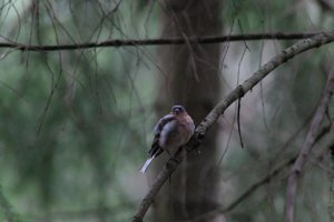 DSCF3465.JPG