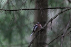 DSCF3466.JPG