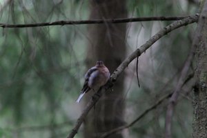 DSCF3469.JPG