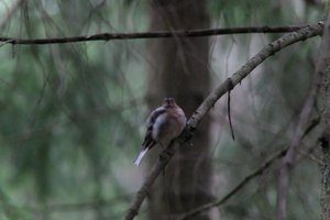 DSCF3470.JPG