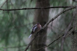 DSCF3474.JPG