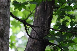 DSCF3484.JPG