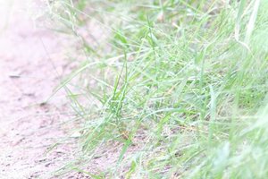 DSCF3543.JPG