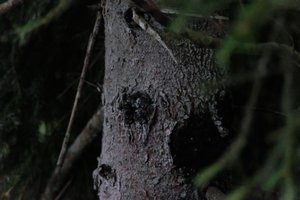 DSCF3549.JPG