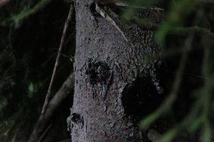 DSCF3550.JPG
