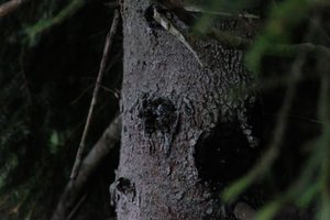 DSCF3551.JPG