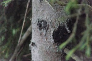 DSCF3552.JPG