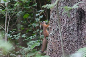 DSCF3570.JPG