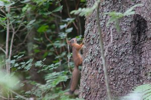 DSCF3571.JPG