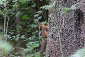 DSCF3572.JPG