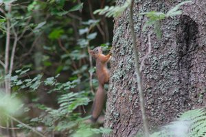 DSCF3576.JPG