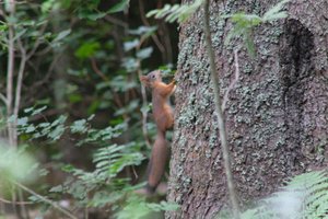 DSCF3578.JPG