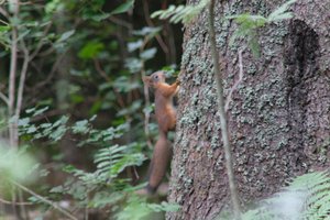 DSCF3579.JPG