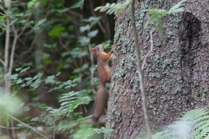 DSCF3580.JPG