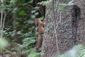 DSCF3581.JPG