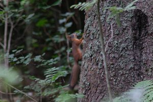 DSCF3585.JPG