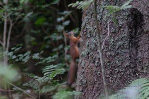 DSCF3587.JPG