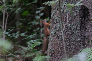 DSCF3588.JPG