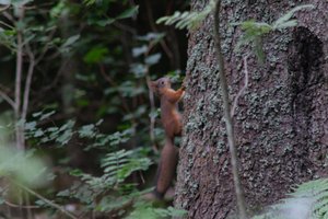 DSCF3590.JPG