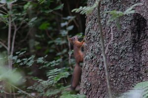 DSCF3591.JPG