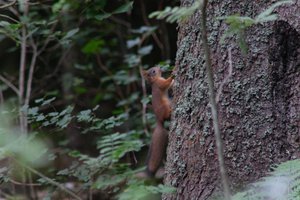 DSCF3594.JPG