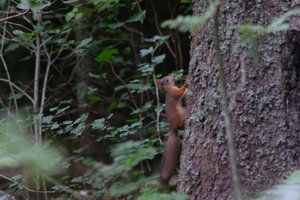 DSCF3597.JPG