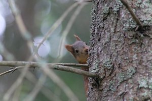 DSCF3617.JPG