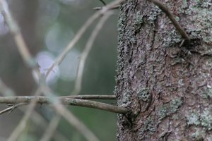 DSCF3621.JPG