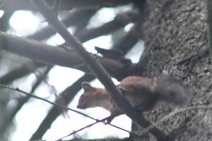 DSCF3635.JPG