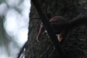 DSCF3649.JPG