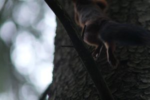 DSCF3650.JPG