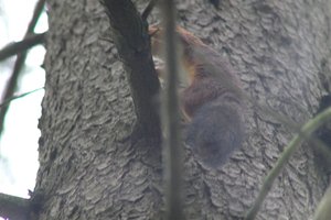 DSCF3657.JPG