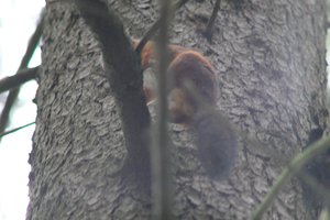 DSCF3658.JPG