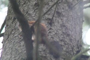 DSCF3659.JPG