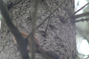 DSCF3660.JPG