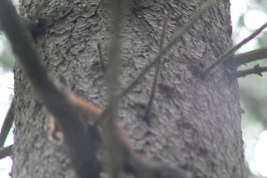 DSCF3661.JPG