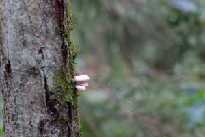 DSCF3670.JPG