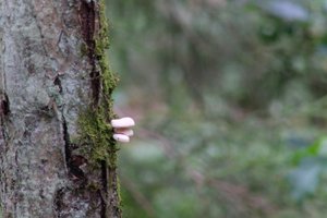 DSCF3671.JPG