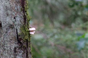 DSCF3675.JPG