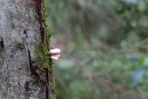 DSCF3676.JPG