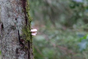 DSCF3677.JPG