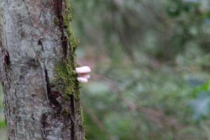 DSCF3678.JPG