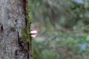 DSCF3680.JPG