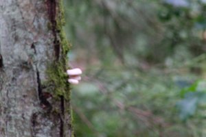 DSCF3681.JPG