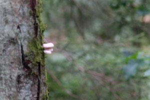 DSCF3682.JPG